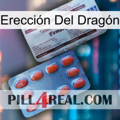 Erección Del Dragón 36